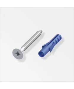 Viti 3 x 30argento e tasselli 10 pzss Economico