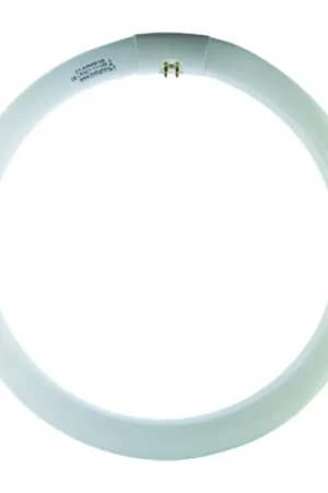 Circolina Fluorescente Airam T9 G10Q40W Bianco Naturale 4200K Prezzo Ridotto