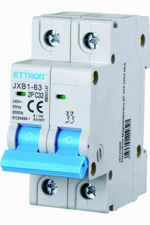 Subito Disponibile Ettroit Interruttore Magnetotermico 2P 32A 220V 6KA JX123260