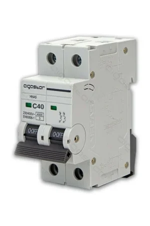 Consegna Rapida Interruttore Automatico Modulare Magnetotermico 2P 40A Curva C Aigostar