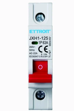 Ultima Occasione Ettroit Interruttore Sezionatore 1P 63A 220V JX416300