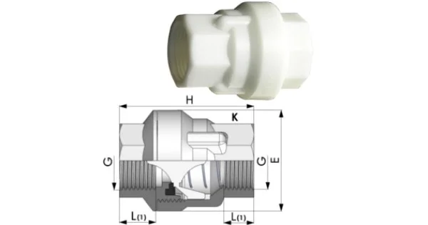 Pagamento Sicuro VALVOLA DI RITEGNO IN POM 3/4"
