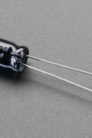 Adafruit Condensatori elettrolitici 220uF 16V - Confezione da 10 Pagamento Sicuro