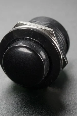 Adafruit Pulsante momentaneo da pannello da 16 mm - Nero Non Perdere