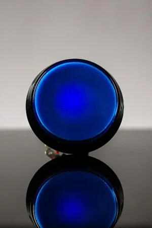 Adafruit Pulsante Arcade grande con LED - 60 mm blu A Buon Prezzo