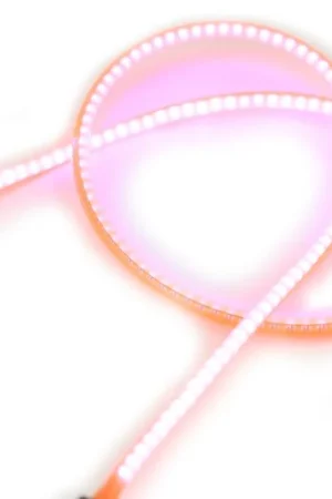 Acquista Ora DFRobot Filamento LED flessibile (3V 260mm, rosa, confezione da 5)